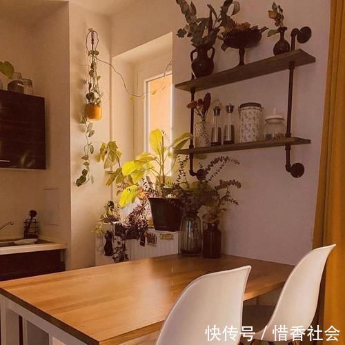 小猫咪|德国夫妇的家,女主人把家布置复古又舒适,很有老电影里的味道!