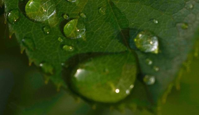 明哲保身&越是深藏不露的人,往往懂得这三条天规,懂一个,就很好!