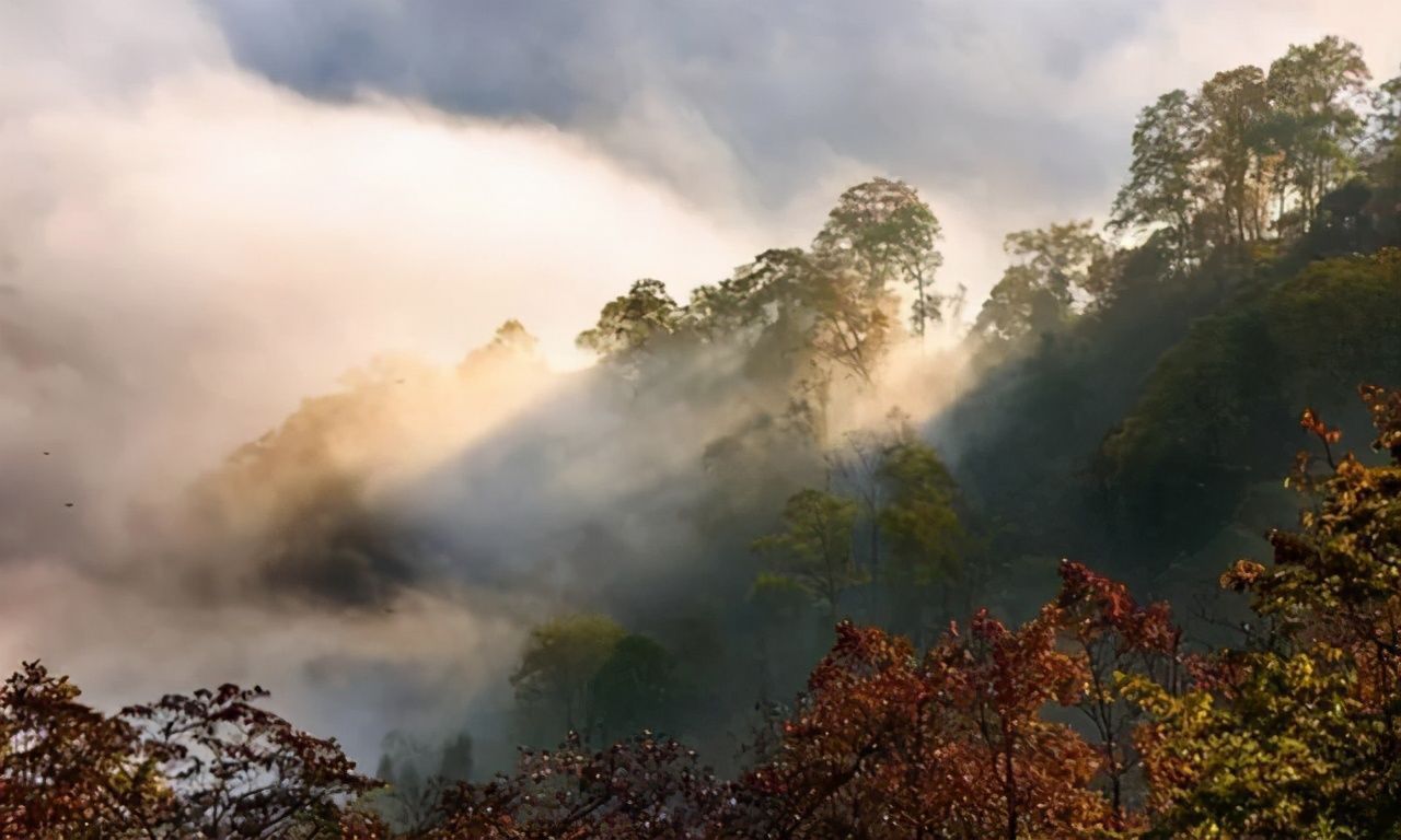 徐塘|平武有座山红透了！山上这条云端上的彩林公路秋色如画