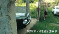 |幽默笑话:老公半夜打牌回来,被迫把床上的妻子赶了出去