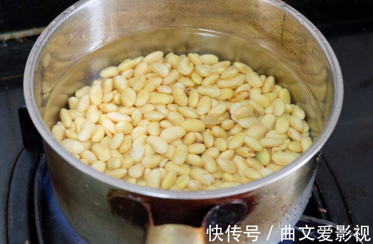 植物|养花别再把水和肥“分2回事”了,浇点它,盆栽土又湿又肥