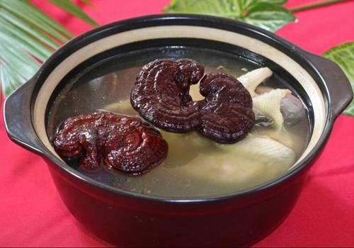 靈芝煲湯要配什么材料？