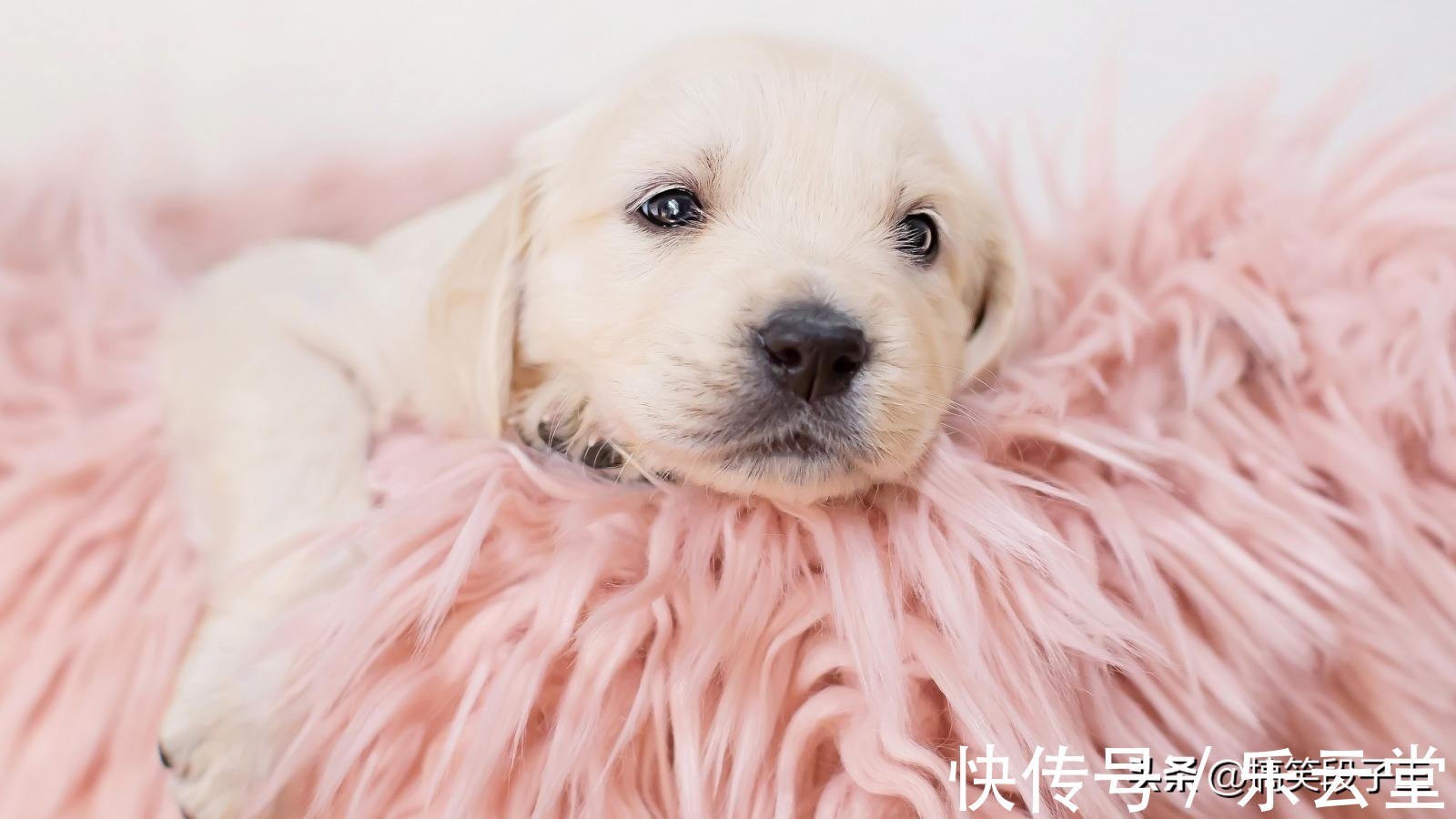 |幽默笑话:婚后第一天就和老婆吵架了,原因是我们都想管家里的钱