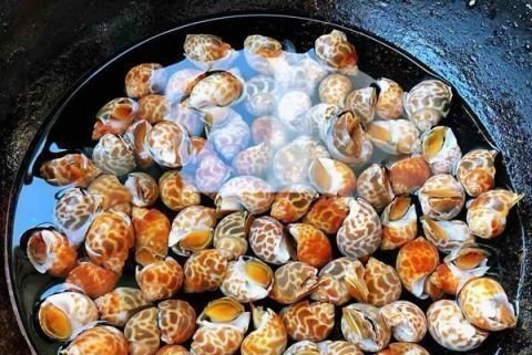 食客|这东西在美国卖出了高价,中国却要花重金清理,食客:长错了地方