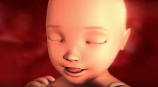 营养物质|孕妈妈吃饭时,胎宝宝在干什么呢这组图揭秘原来小吃货一个