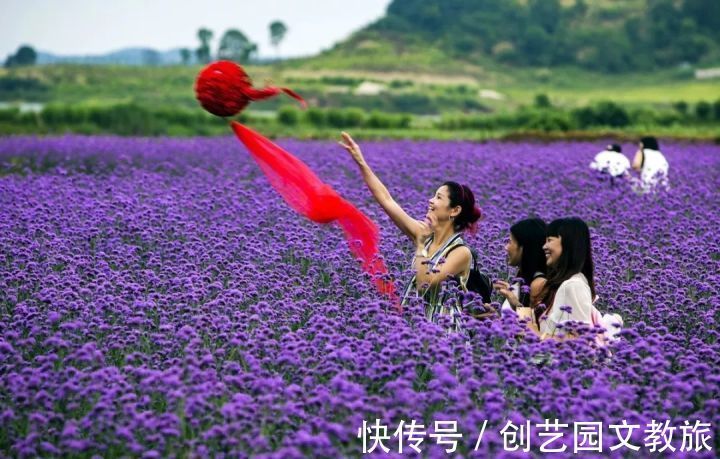 规划|旅游专项规划设计案例：庐山西海花千谷休闲农业园