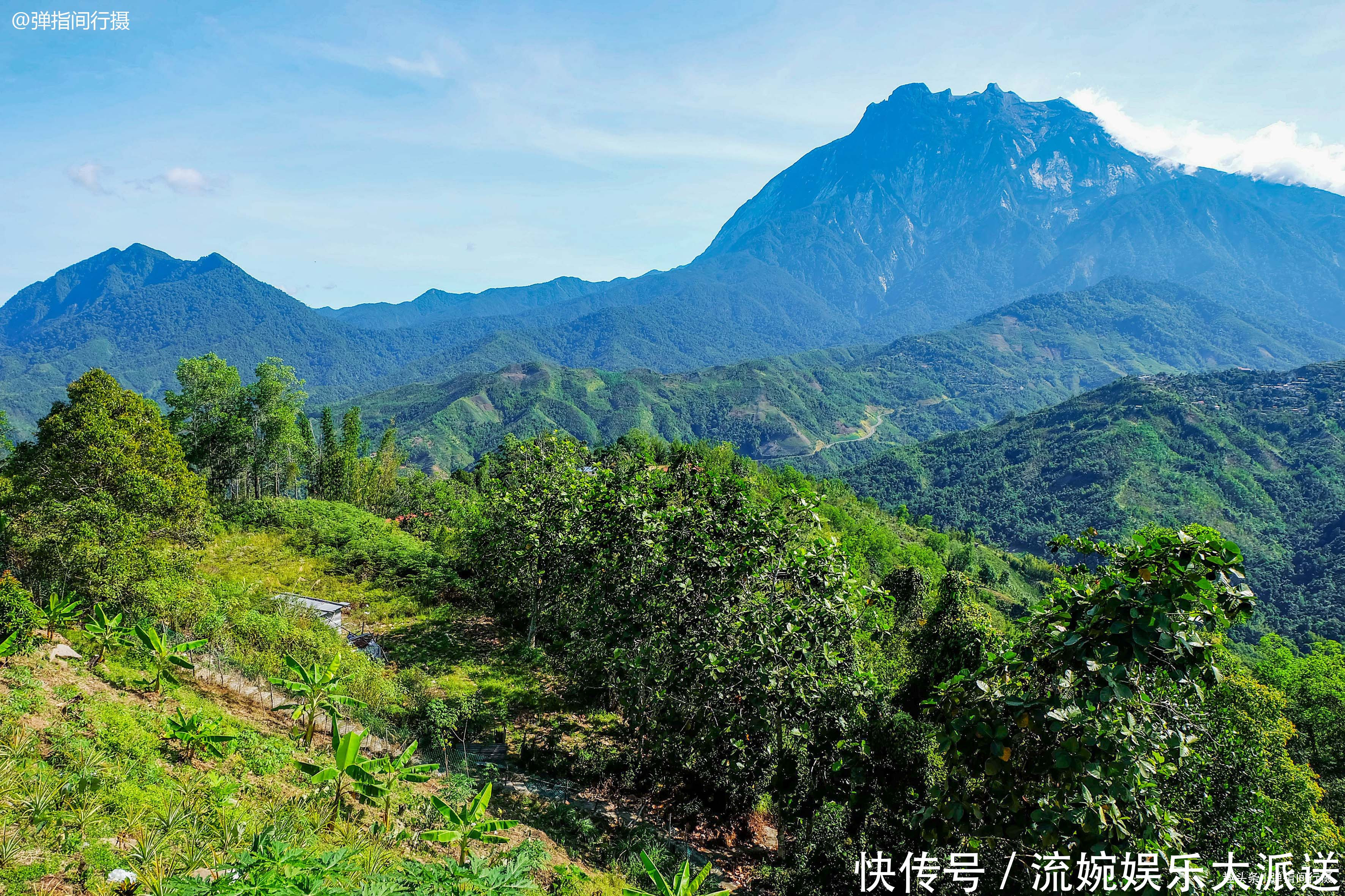 世界上最大的花卉 花瓣直径可达1 4米 生长东南亚最高山峰上 天合乐学帮助家长发现孩子的更多可能