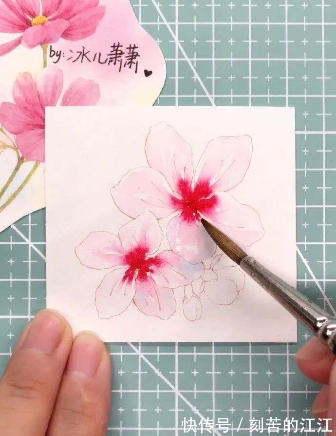 花瓣@水彩这样画,也太美了吧!居然把花瓣画出透明的感觉,看完忍不住保存!