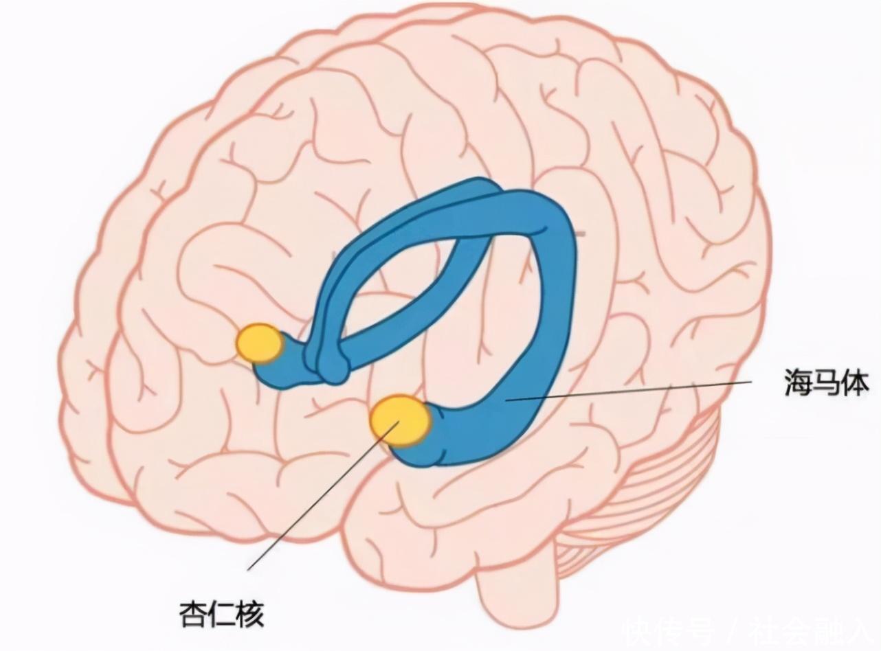 孩子|孩子记忆力下降，老是丢三落四多半是3个“绊脚石”惹的祸