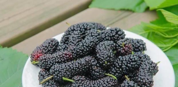 鹌鹑蛋|天然“养肾王”找到了，男性每天吃点，补足肾气，肾脏更健壮！