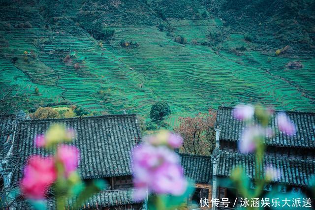 婺源|网红地婺源有很多景区，但去这一个就够了，它汇集众多景区的特色