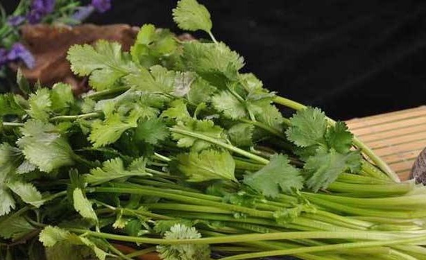 煮水|香菜煮水功效高,不出半月,几大好处不请自来,给身体洗个澡