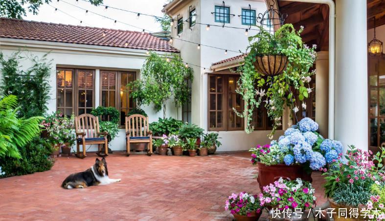 韵味|用这些“物件”当容器养花,打造漂亮花园,看上去更有韵味