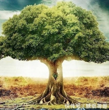 中药|关于有中药成分的牙膏,最近很多对话是酱样子的——