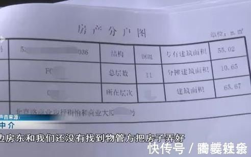 房屋|买房拿到产权证要去装修被拦截物管房子是我们公司的，是不卖的