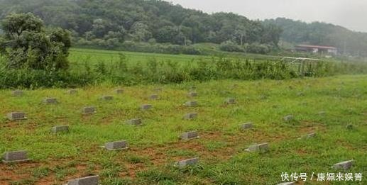 游客|中国游客祭拜志愿军时,为何众怒?