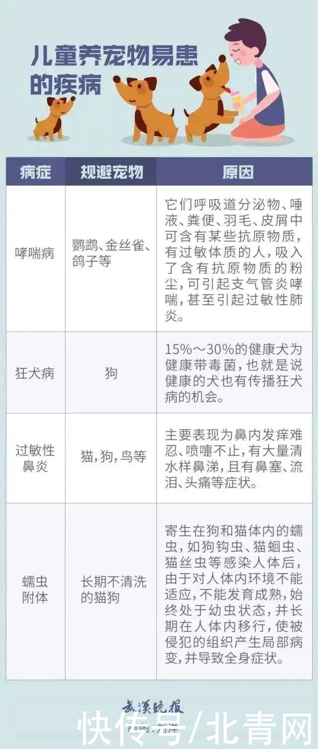 真菌|姐弟俩大量脱发，竟与家中“小可爱”有关