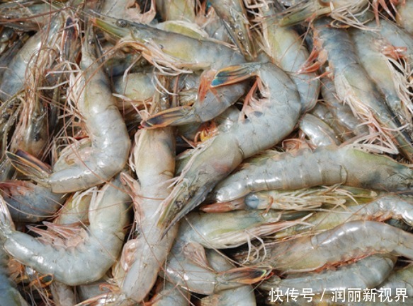 讲究|吃海鲜也要讲究“时令”,老渔民不会告诉你的海鲜日历,请收好!