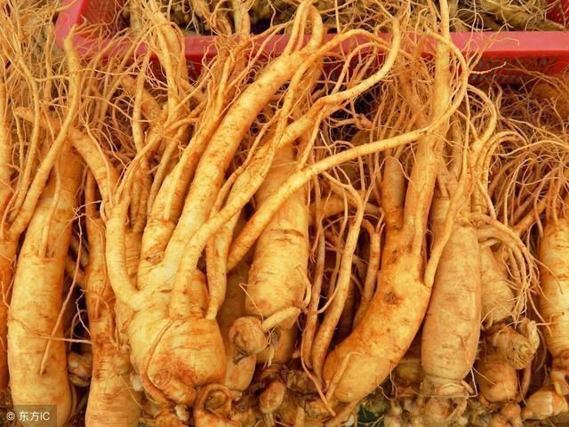 中药荟萃，养生长寿的几味中药，少生病更健康