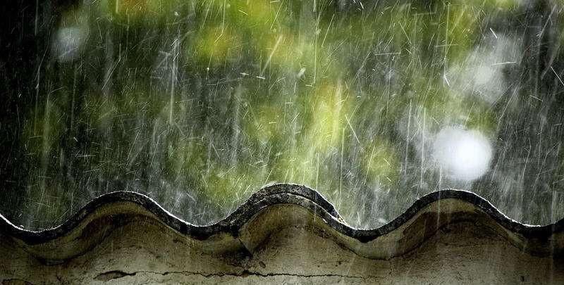 雨滴|一场春雨一场暖,春雨怎么拍才有味这些作品给你灵感