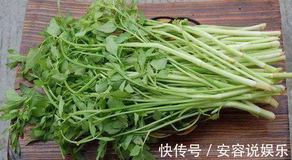 心烦|立秋后，心烦睡眠质量差，莫慌！常食此野菜，镇静安神，越睡越香