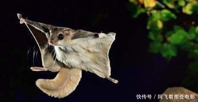 不到|在课本上, 你是找不到这些冷知识的