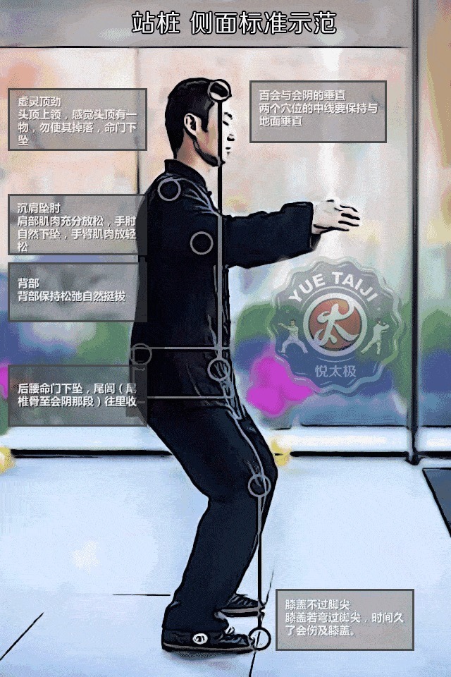 经络|站一站,竟是最 好锻炼法!每天5分钟,28天收获8大神奇变化!