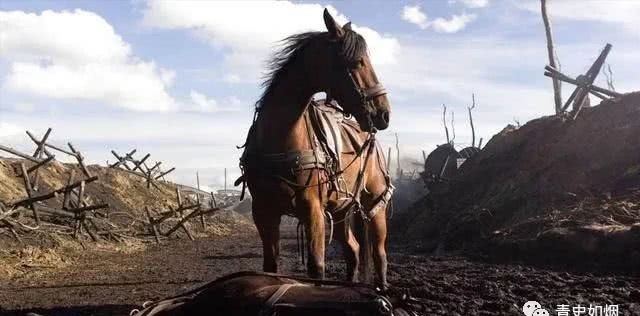 钻入|一战时期的奇葩隐蔽战术,钻入马肚中躲在对方战壕附近的侦察兵