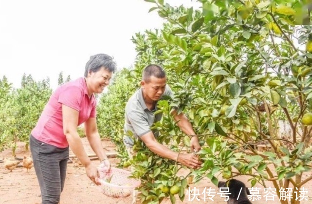 全红婵一家9口住大伯的房子!夺冠后院子大翻修,大气配置显身份