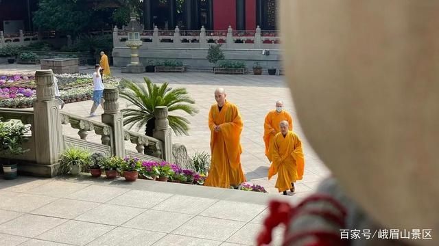 大佛禅院，峨眉山一处让人欢喜的地方