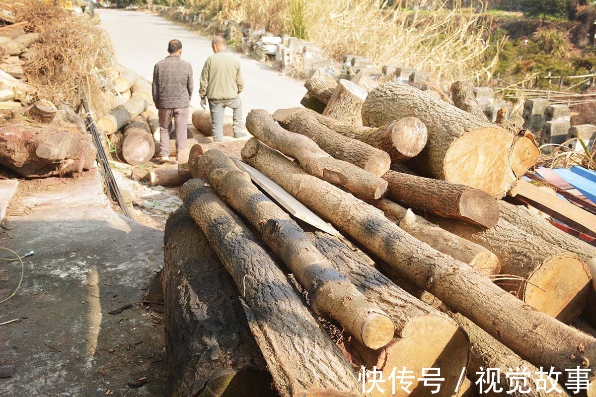 精雕!山村村民把枯树根捡回家,精雕细刻仔细打磨,万元不卖