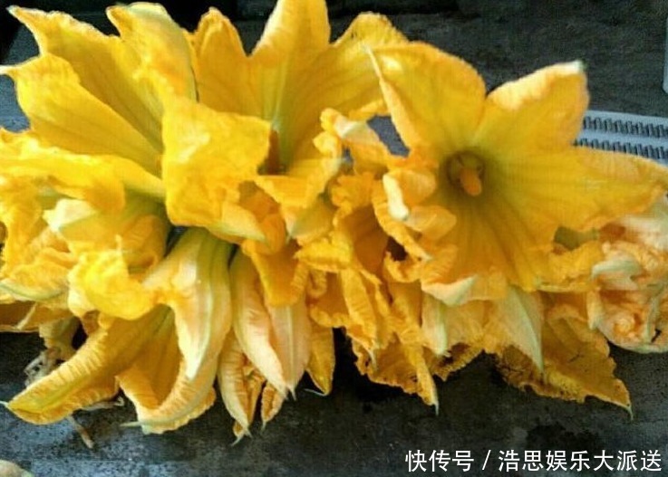 常吃|女人过了30岁常吃以下3种野菜,能补气血,淡色斑,抗衰老