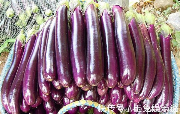 肉末茄子|买茄子时,如何分辨有没有“打激素”?学会4招,以后别买错了
