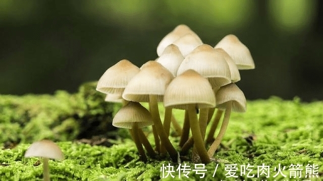 双子座|新年期间，财富畅通无阻，事业扬帆起航，日子和谐美满的3星座