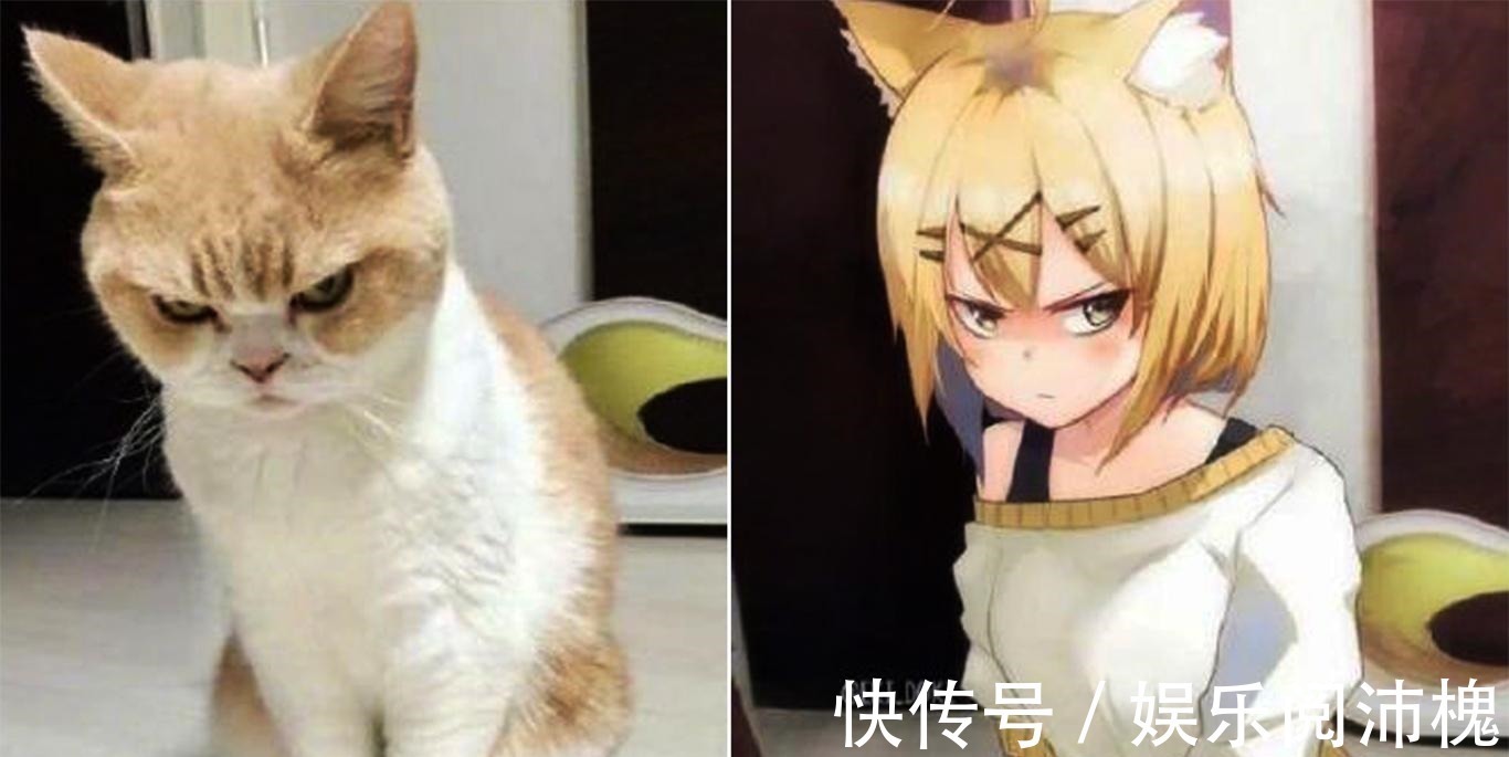 当动物被画师二次元化,可盐可甜可帅气,还是纸片人更让人心动