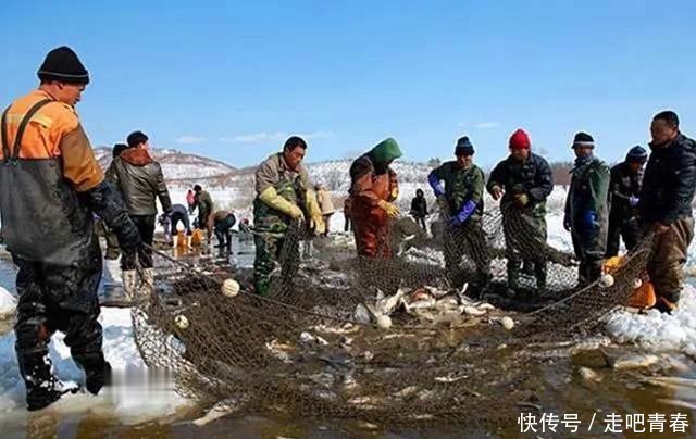 河里|啃树皮、吃老鼠,饥荒年代人们什么都吃,为何不吃河里的鱼虾?