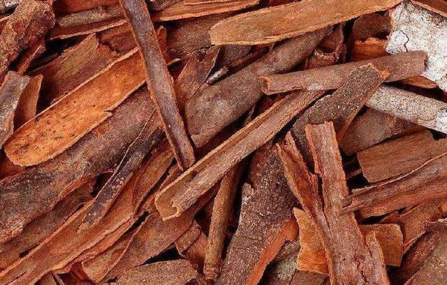 肉桂|一个仅4味药的神奇配方，帮你把元气、肾气、脾气、肺气通通补足