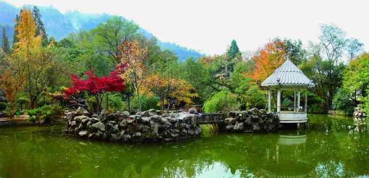 九峰景区|姗姗来迟，黄岩九峰桂花飘来第一缕香