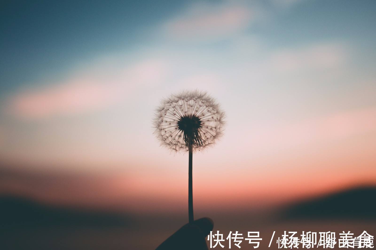 人生|人生四大处世境界：大智不群，大善无帮，何惧孤步，何惧毁谤