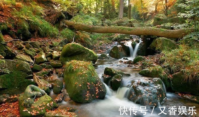 照片&德艺术家把不着片缕的美女隐藏在照片中，人体彩绘伪装下佳人何在