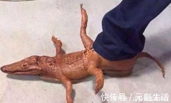 公鸡 世界上最“古怪”的鞋子，一种比一种奇葩，保证一种你都不会穿！