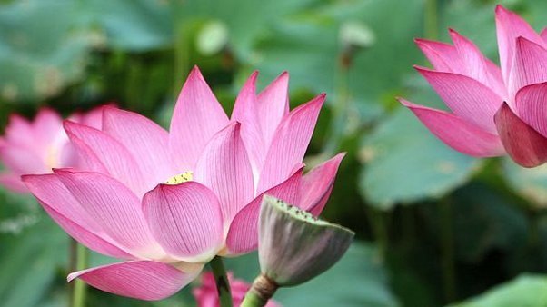 有福气|有福之人必有天相,真正有福气的人,身上都有这四个征兆