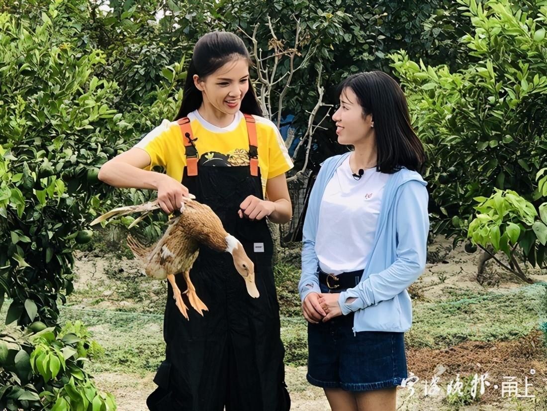 美食|宁波这些美食亮相央视 10月31日锁定CCTV10《味道》栏目