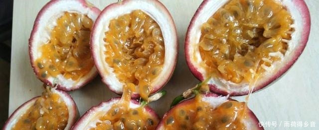 最好养的盆栽水果,集观赏、食用于一身,自花授粉,年年开花结果