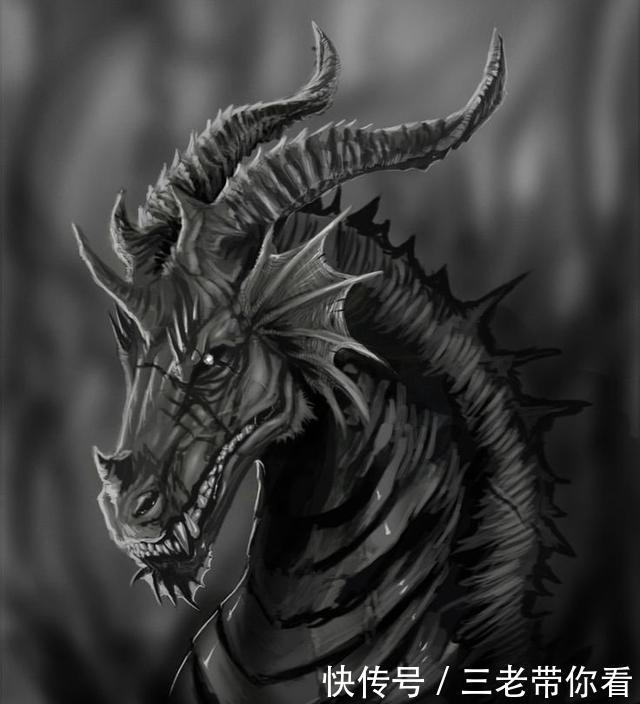 斗罗大陆|斗罗大陆最强的五块万年魂骨!最后两个比唐三的魂骨还要强!