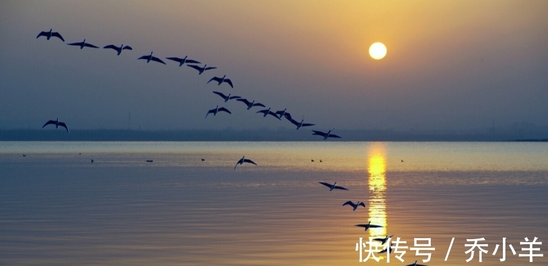 故友#这两首意蕴凄美的唐诗,被蘅塘退士选入《唐诗三百首》,值得一读