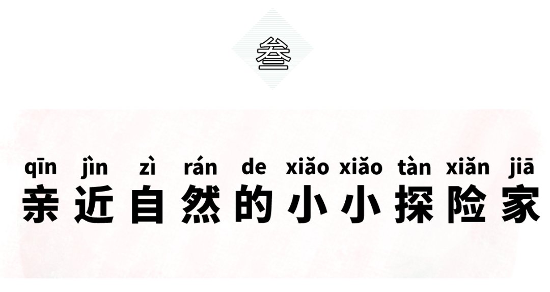 孩子们|太好玩！这个网红亲子游，看了分分钟就想去遛娃～