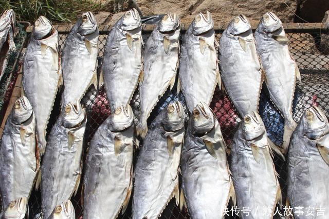 寿命|医学教授:长寿的7大特征!50岁以后有3个以上,多半会长命