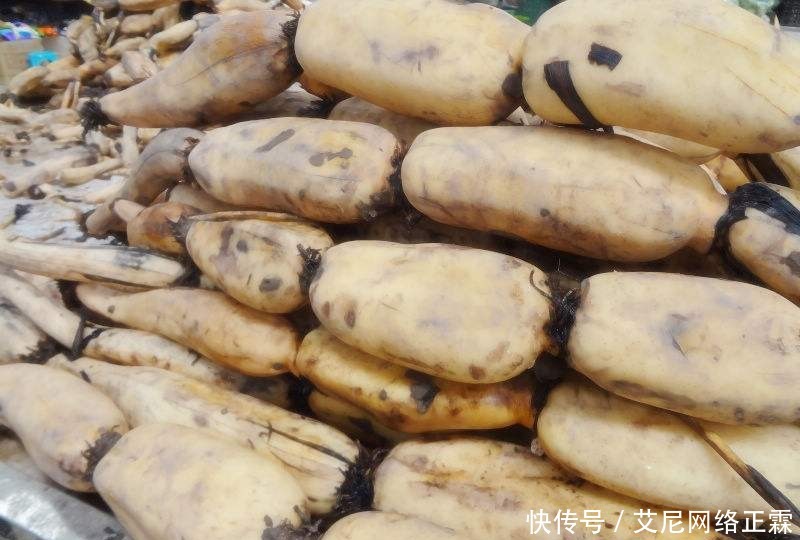 俗语|“男人不吃韭,女人不吃藕”有科学依据吗?