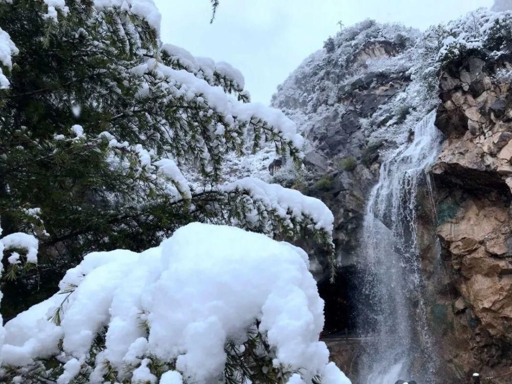 简直|雪中的泾阳，美得简直太...